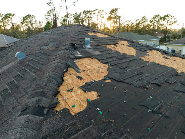 Best Storm Damage Roof Repair  in Hortonville, WI